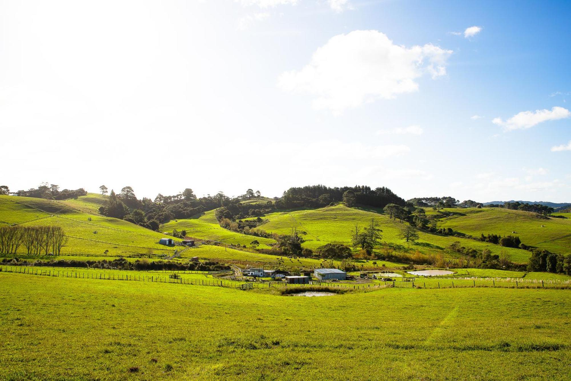 Bever Farm Waitoki Exterior photo